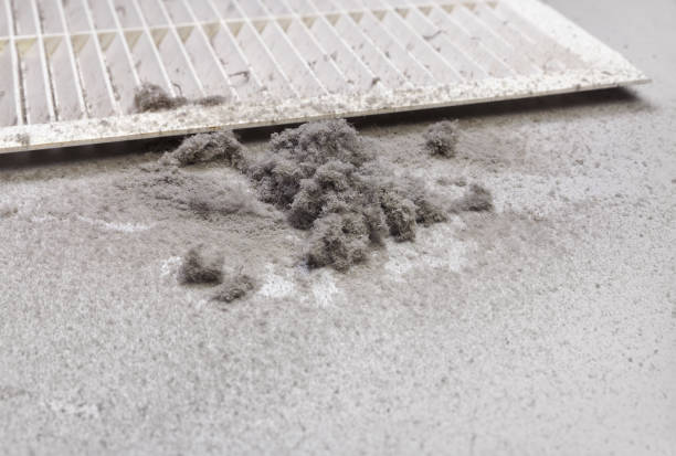 HVAC Maintenance and Cleaning in FL