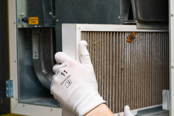 Best Affordable Duct Cleaning Services  in Rainbow Springs, FL
